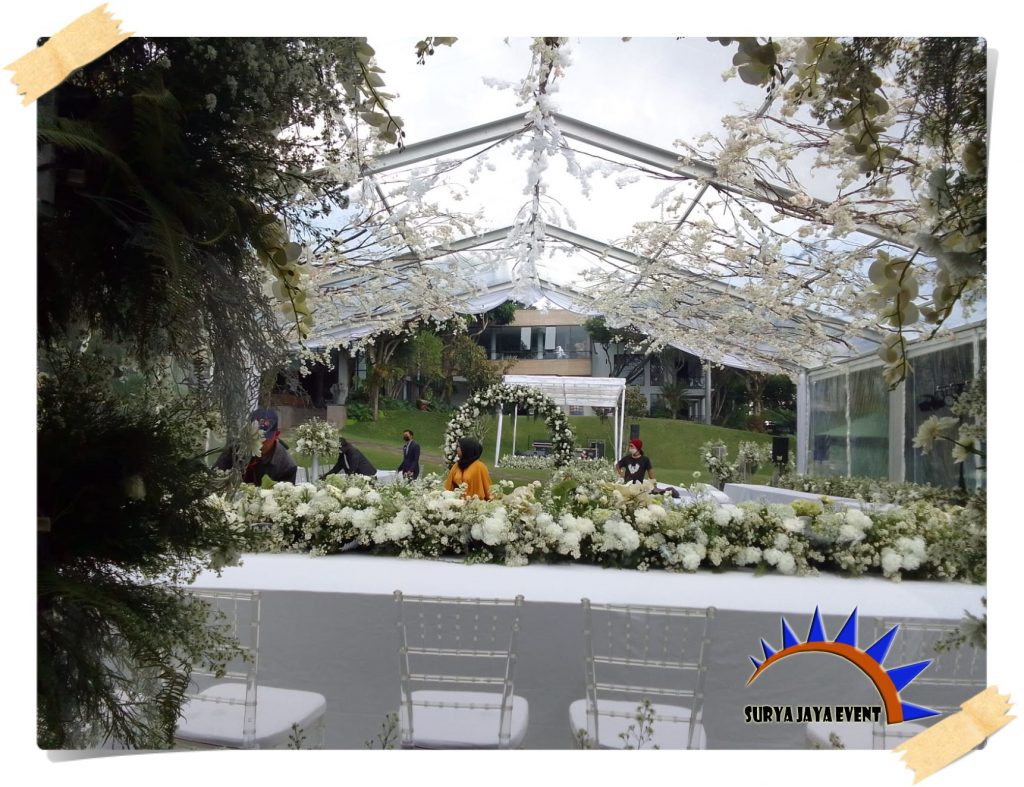 Sewa Kebutuhan Wedding Party Terlengkap